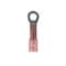 Panduit Ring Terminal, #10 Stud Size, 18 AWG, 600 V, Heat Shrink Insulated, Red, 25 PK PH18-10R-Q - alternate 1